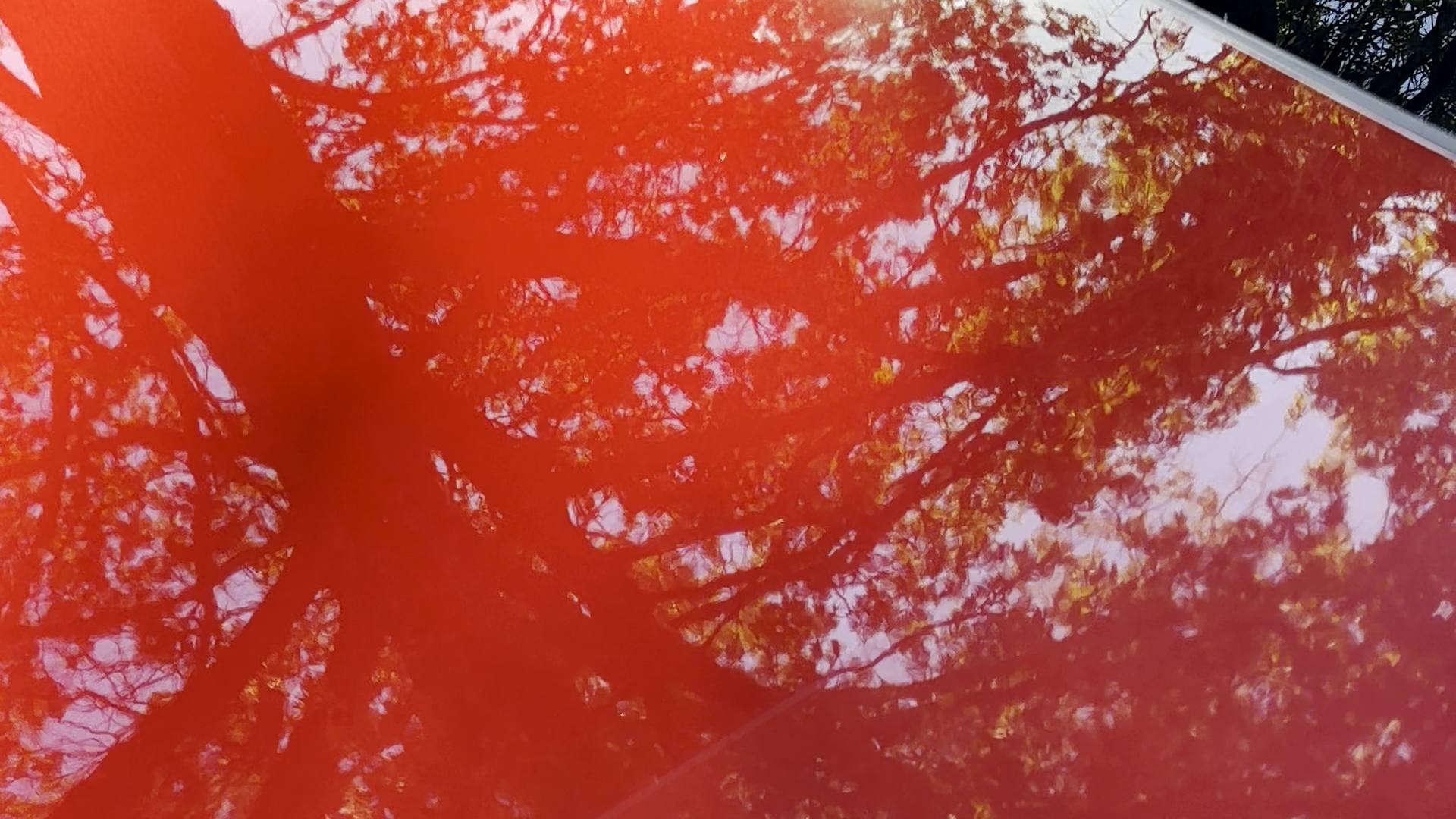 Glossy red paint reflecting the trees above like a mirror